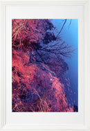 MEMORIES OF LANDSCAPES: (A) MOMENT (OF QUIET GENIUS)-2