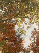 Beautiful Autumn in Toronto (2)-2