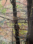 Forest-2