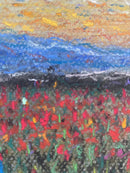 Anemone flowers (2)-2