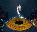 The Ocular Bridge-2