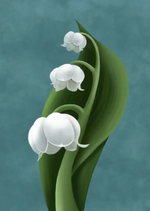 Lily of the valley