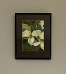 White Trillium-2