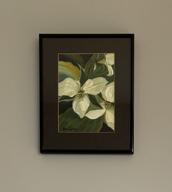White Trillium