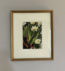 Blood Root-2