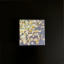 Beach Pebbles #1-2