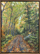 Walk in the Woods #2-2