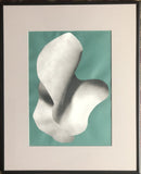 Corporeal Folds 1-2