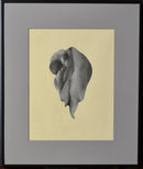 Corporeal Folds 50-2