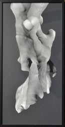 Corporeal Folds 74-2