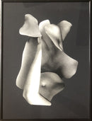 Corporeal Folds 76-2