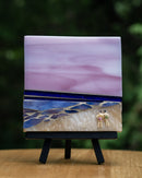 Sunset Watch-2