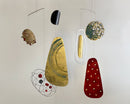 Metamorphosis-2