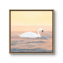 Gentle Glide 2-2