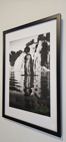 Black Swan-2