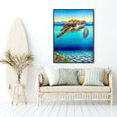 Sea turtle-2