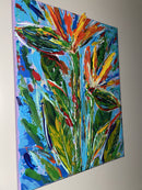 Birds Of Paradise-2