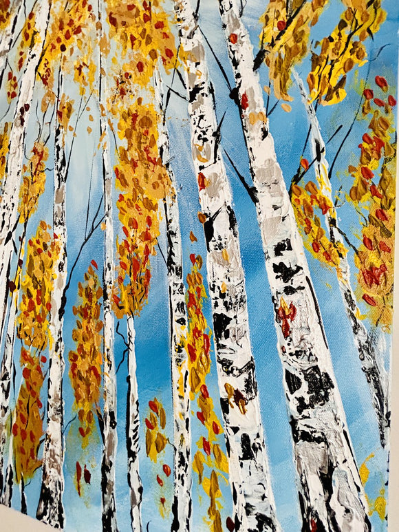 Silver Birch
