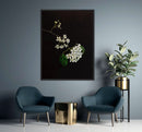 Flowers in the dark-2