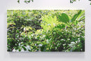 Mixed Nature-2