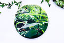 Mixed Nature #2213-2