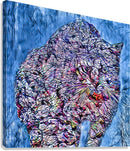 The Wild Within-2