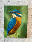 Kingfisher Blue-2