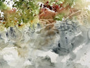 Along the Stream-2
