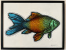 Fish Scale-2