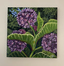 Suddenly I See (milkweed)-2