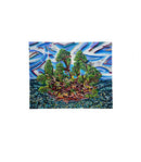 Island 032-2