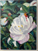 Camellia Dream II-2