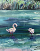 Swans at Prospect Park-2