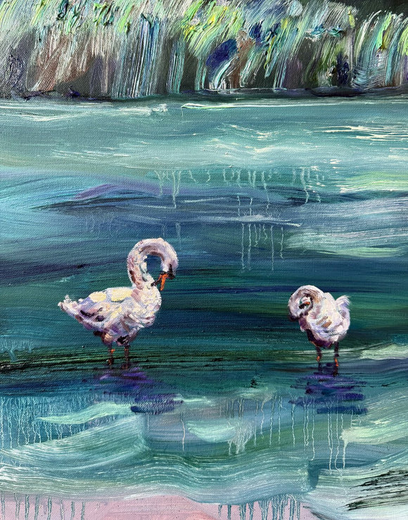 Swans at Prospect Park