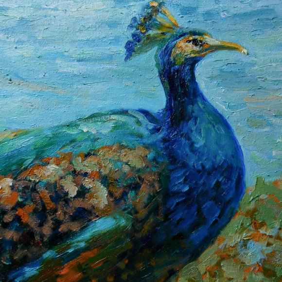 King Peacock