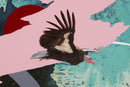 Innumeral Infinite Songs, (California condor)-2