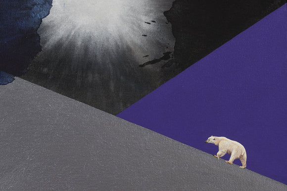 Not Fade Away, (polar bear)