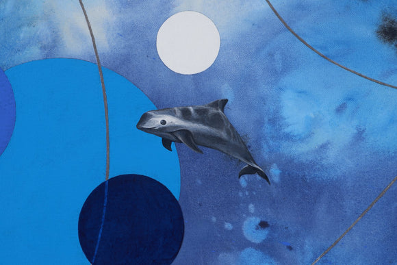 Blue into Black, (vaquita)
