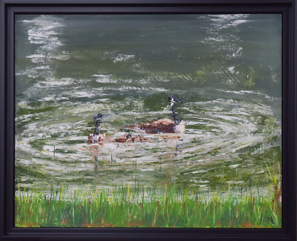 Swimming Geese