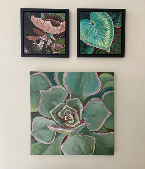 Summer Succulent