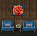 Orange Rose for Passion-2