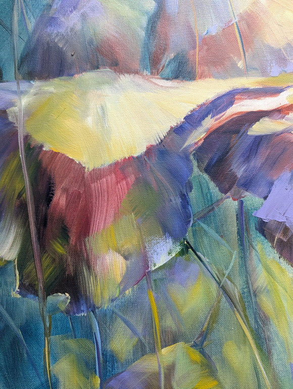 Lotus pond. Sunset.