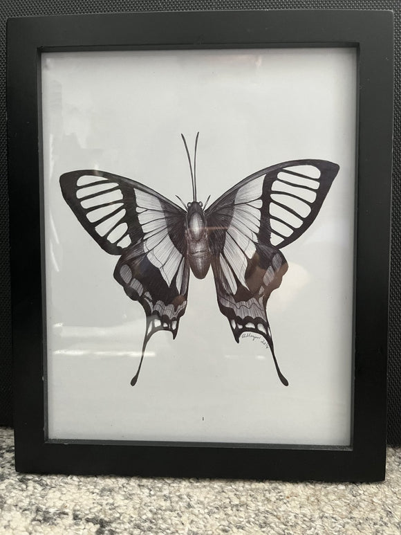 Butterfly Wings
