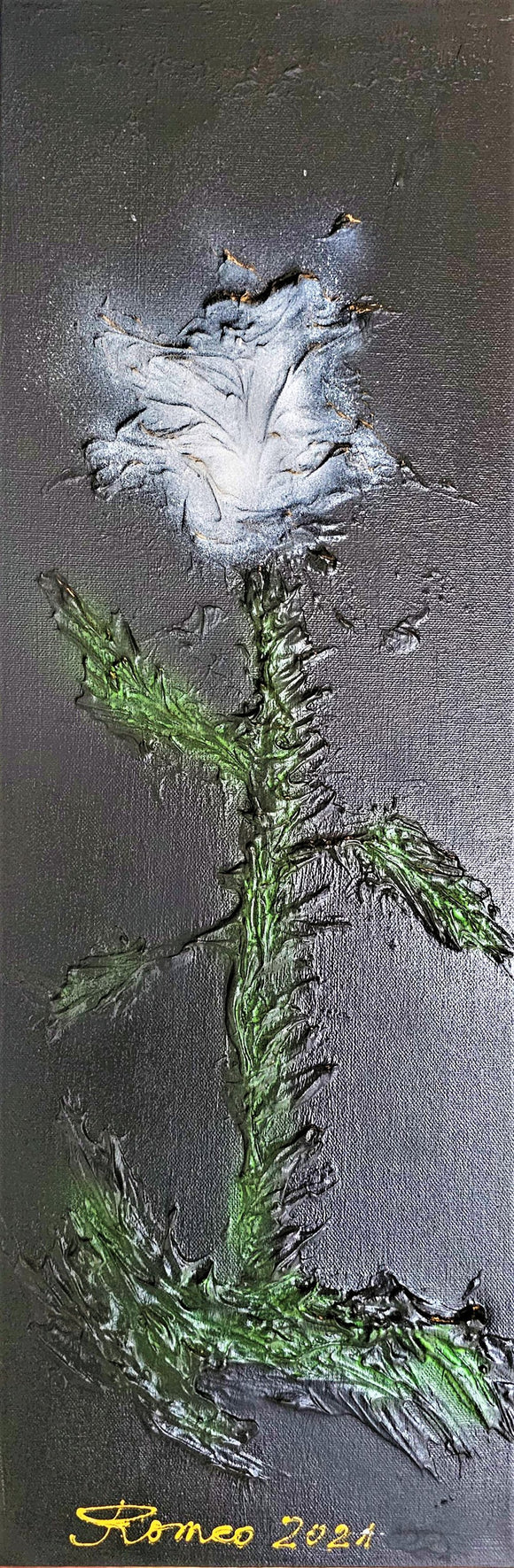 Flowers in midnight