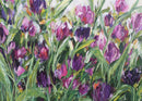 Tulips-2