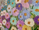 Daisies-2