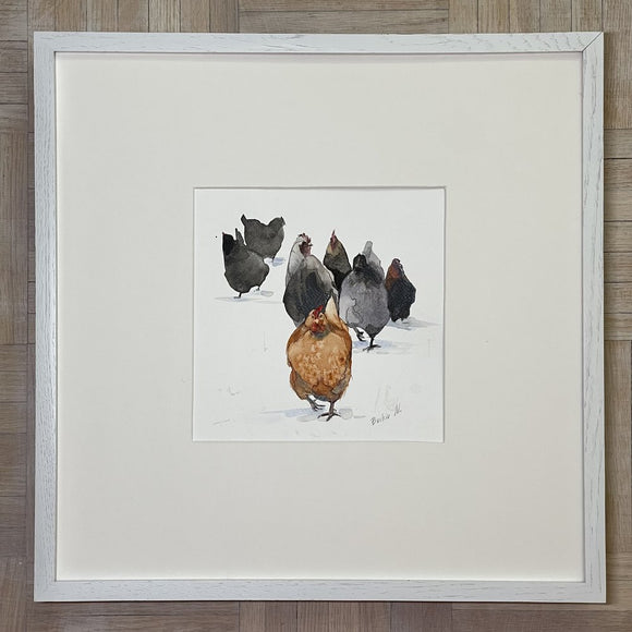 Happy Plump Chickens
