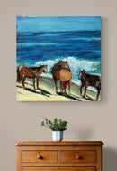 Wild Horses of Sable Island, Nova Scotia-2