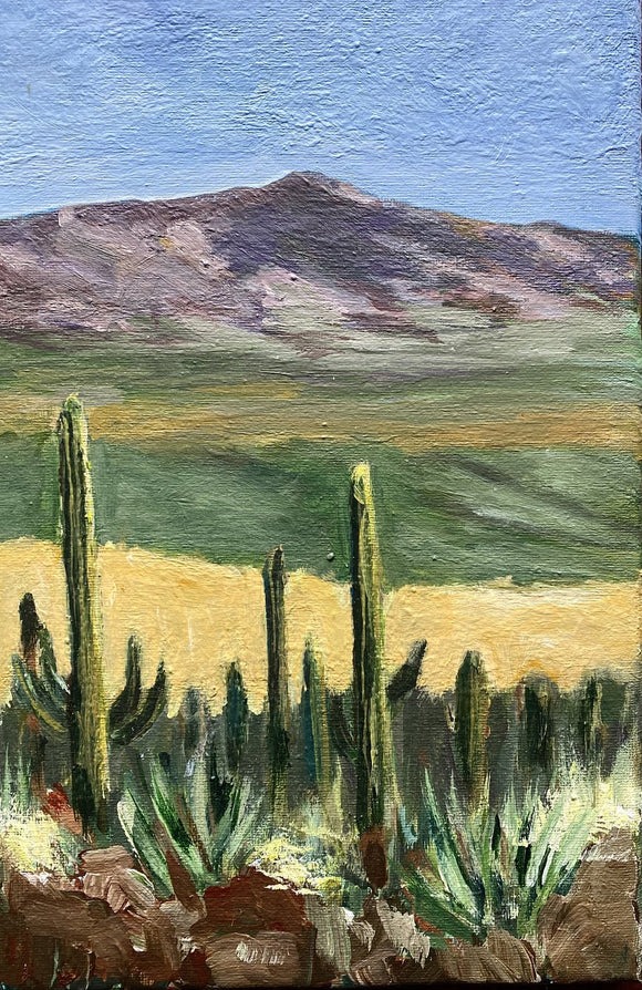 Saguaro National Park, Arizona