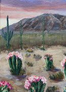 Desert Gardens-2